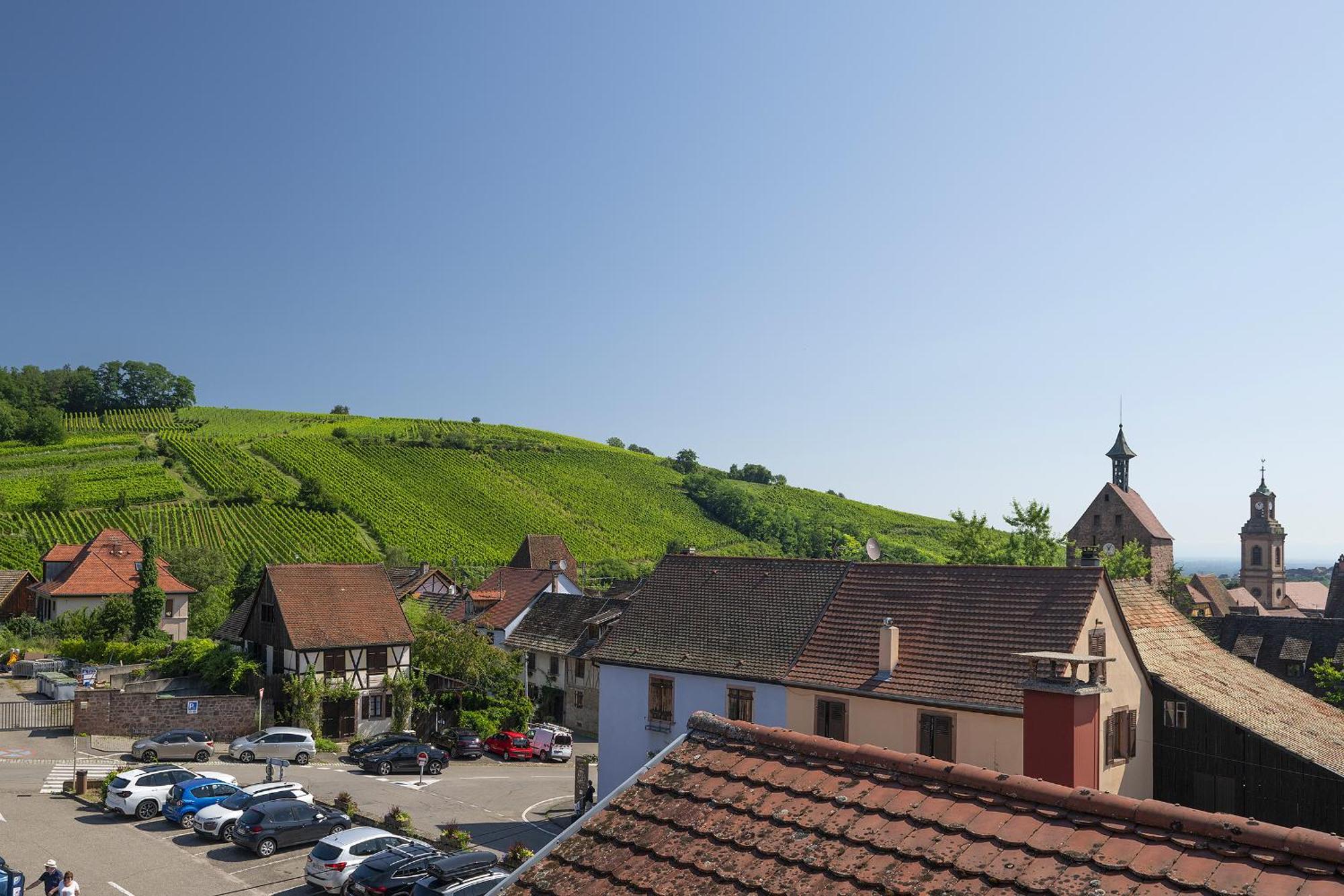 Riesling - Vue Imprenable Sur Le Vignoble - Renove Recemment - Parking Gratuit Apartment Riquewihr Exterior foto